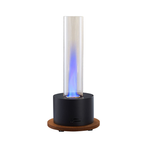 EB-07 Ethanol Burner