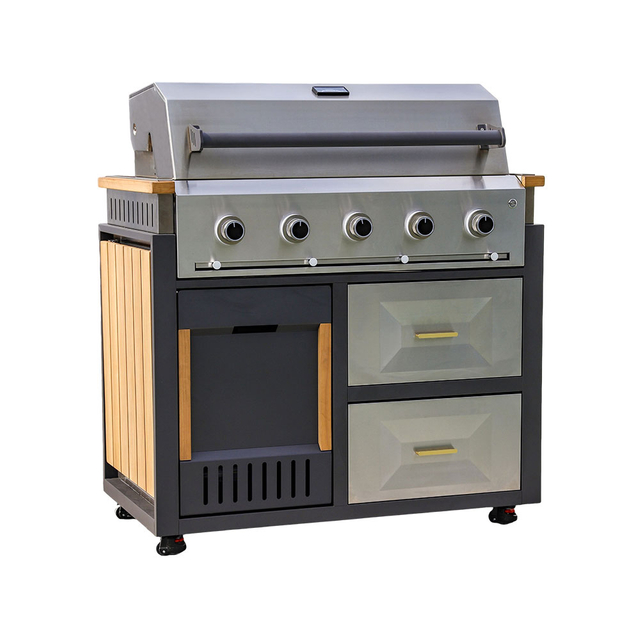 TS002-Outdoor Barbecue Gas Grill