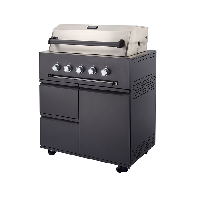 TB016A01- Outdoor Barbecue Gas Grill