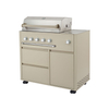 TA017A01-Outdoor Barbecue Gas Grill