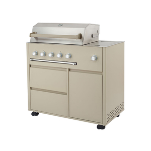 TA017A01-Outdoor Barbecue Gas Grill