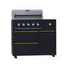 TE002- Outdoor Barbecue Gas Grill